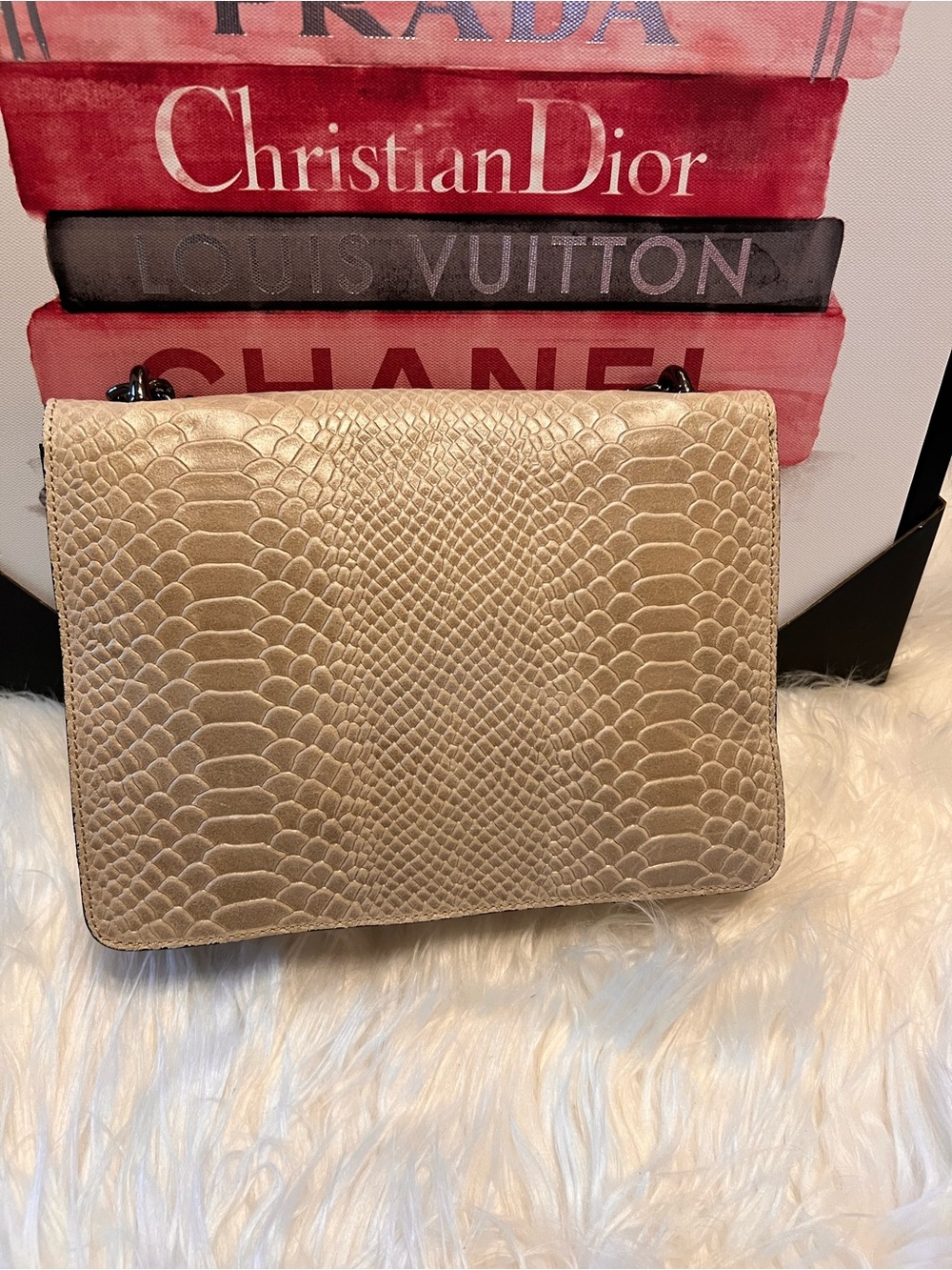 Vera Pelle Beige snakeskin-embossed genuine leather chain crossbody bag - Picture 4 of 17
